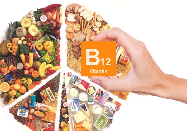 Vitamin B12 Foods1
