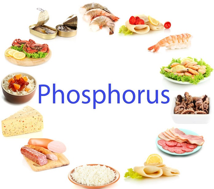 phosphorus22724074 M edited