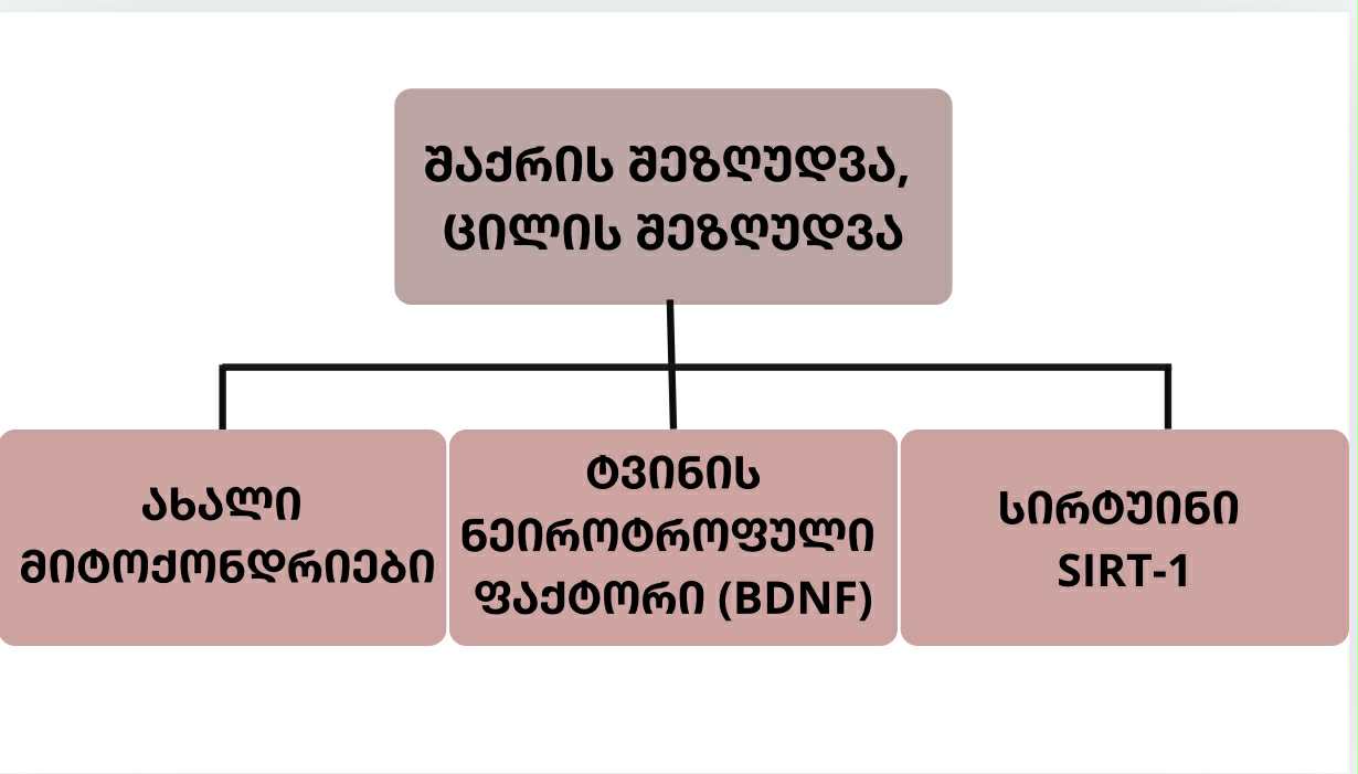 sqema-1